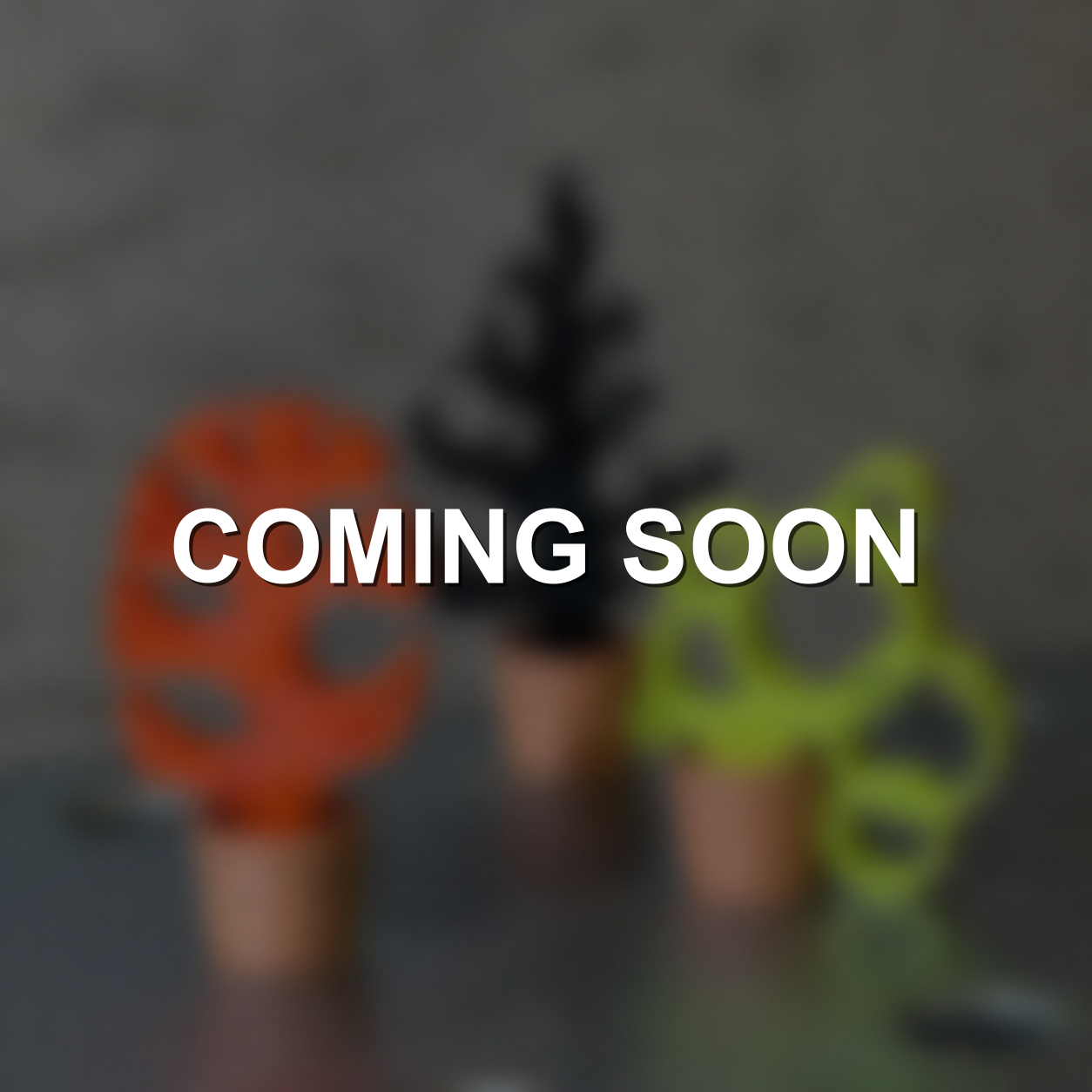 Potted Trees